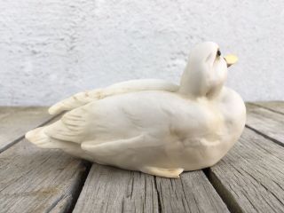 Vintage Ak Kaiser W.  Germany Porcelain Duck Figurine No.  526 3