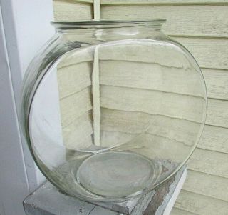 Vtg Old Glass Drum Style Fish Bowl Tank Aquarium Terrarium Fairy Garden 10.  5 "