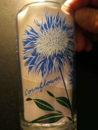 Vintage Blue & White Cornflower Peanut Butter Drinking Glass 5 " Estate Find