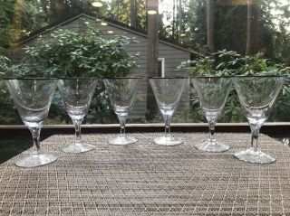 6 Vintage Fostoria Crystal Etched Bridal Belle Wine Cordial Glasses Platinum 5 "
