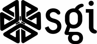 Sgi - Silicon Graphics Logo Vintage - 6.  75 " X 3 " - Set Of 2 - Black