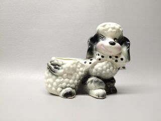 Vintage Art Pottery Poodle Dog Planter Black White Bow Smiley Face Cute 5 1/2 "
