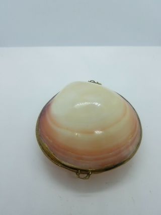 Vintage Natural Sea Shell Trinket Box Clam Brass Edge Jewelry Hinged
