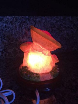 Vintage Mushroom Night Light Table Lamp with Squirrel and Flowers 4