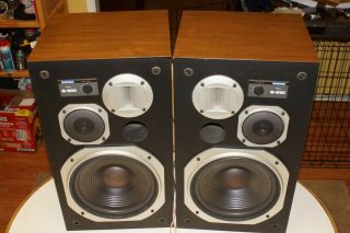 Pioneer S - 510 Speakers Surrounds