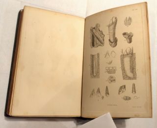 Monograph Sub - Class Cirripedia (barnacles) 1851 FIRST EDITION Charles Darwin 4