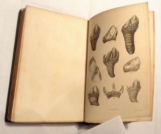 Monograph Sub - Class Cirripedia (barnacles) 1851 FIRST EDITION Charles Darwin 5