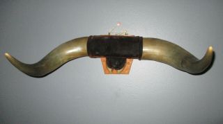 Vintage Mounted 12 " Bull Horns And Hoff