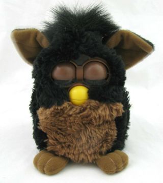 Vtg Furby Baby Black with Brown 70 - 800 1998 6