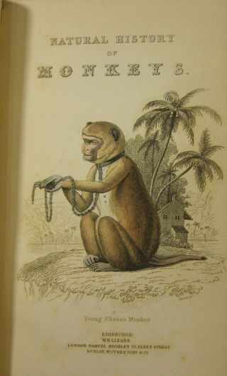 William Jardine / The Natural History Of Monkeys 1833