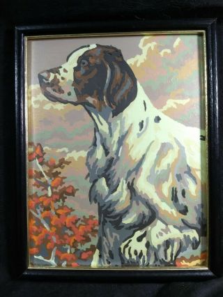 1960s Paint By Number English Springer Spaniel Hunting Dog Framed 11.  75x9.  25 Vtg