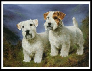 Sealyham Terrier Dogs Lovely Vintage Style Dog Art Print Poster