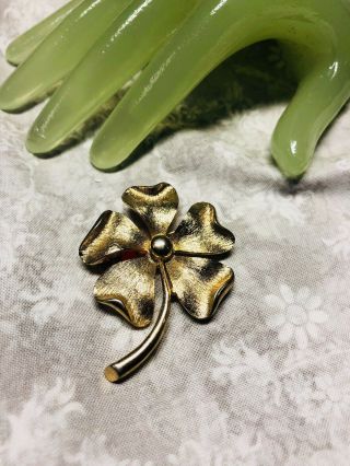 Vintage 2 " Goldtone Dogwood Flower Floral Style Pin By Sarah Coventry - N