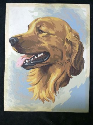 1960s Paint By Number Golden Retriever Family Pet Hunting Dog Unframed 14x11 Vtg