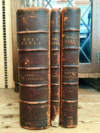 1880 Holy Bible Old & Testaments,  Apocrypha In 3 Folio Vols,  Doré,  220 Plates