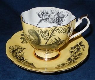 Vintage Queen Anne Black Squirrel On Yellow Teacup & Saucer
