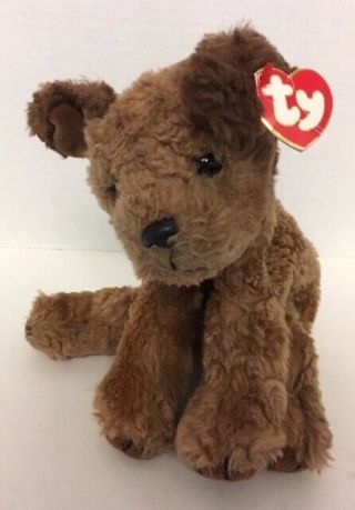 1996 Ty Classic Chips Puppy Dog 8 " Brown Plush Mwt Vintage Stuffed Animal