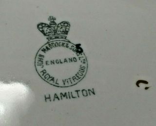 Vintage John Maddock & Sons Royal Vitreous England green Hamilton Pitcher 8 