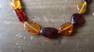 Vintage Polished Baltic Amber Bead Necklace 20.  5 