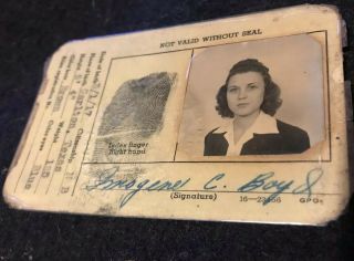 1942 Vintage United States Coast Guard Female Id Card