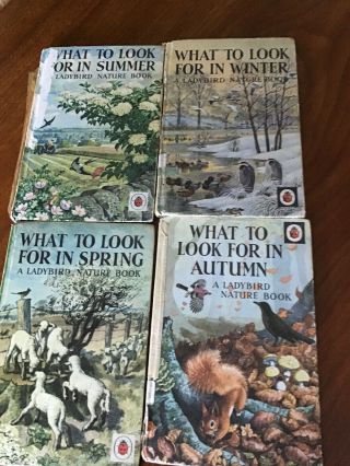 Vintage Ladybird Books What To Look For In Spring,  Summer,  Autumn & Winter 2/6