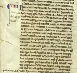 C.  1250 Latin Manuscript Bible Leaf Vellum 10 - 750 Years Old