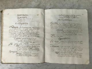 1733 Medieval Latin Handwritten canon law manuscript book 343p leather cover 10