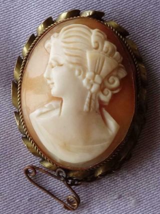 Vintage Classical Lady Carved Shell Cameo Brooch/pendant