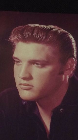 Vintage Elvis Presley Collectible Postcard