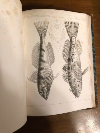1860 Explorations And Surveys; Mississippi To Pacific Ocean Vol 12; 9