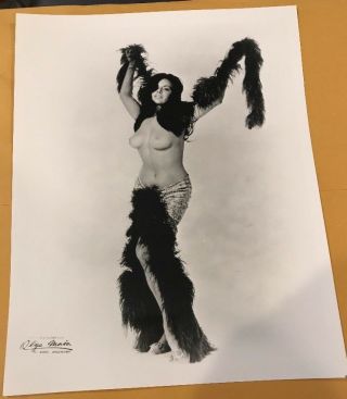 Vintage 8 X 10 Photograph From Irving Klaws Archives Of Isabel Sarli