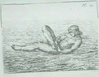 The Art Of Swimming 1782 French Edition L 