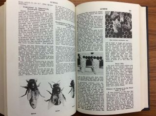 Comprehensive ABC & XYZ OF BEE CULTURE History Photos Guide HONEY CARE SCIENCE 8