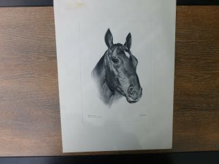 Chateaugay 1963 Kentucky Derby Winner Vintage Horse Print By C.  W.  Ernst