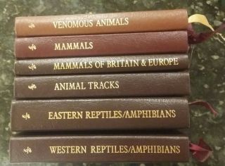 41 Roger Tory Peterson Field Guides Books Leather Collector ' s Ed 6