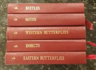 41 Roger Tory Peterson Field Guides Books Leather Collector ' s Ed 8