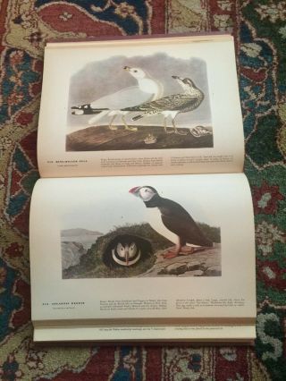 The Birds of America,  John James Audubon,  with color lithographs,  GUC 3