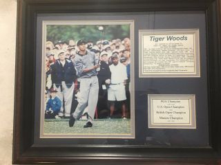 Vintage Tiger Woods Framed Photo With Bio,  16x13,  Priced