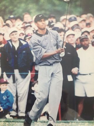VINTAGE TIGER WOODS FRAMED PHOTO WITH BIO,  16x13,  PRICED 2