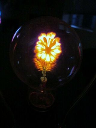Vintage Aerolux York Light Bulb Electric Flowers 2 - 3 W 115 V No Box