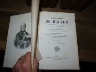 1850 OEUVRES de BUFFON par FLOURENS 4 TOMES 60 PLANCHES en COULEUR QUADRUPEDES 5