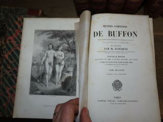 1850 OEUVRES de BUFFON par FLOURENS 4 TOMES 60 PLANCHES en COULEUR QUADRUPEDES 6