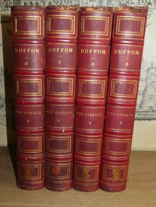 1850 Oeuvres De Buffon Birds Oiseaux - Flourens 4 Tomes 82 Planches En Couleur