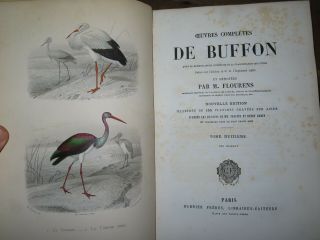 1850 OEUVRES de BUFFON BIRDS OISEAUX - FLOURENS 4 TOMES 82 PLANCHES en COULEUR 9