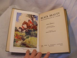 Black Beauty (1927Illustrated) Anna Sewell 2