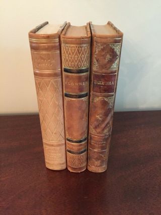 Antique Leather Bound Books - Set Of 3 -