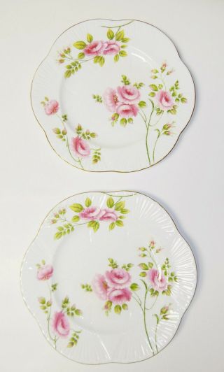 2 Vintage Shelley Rambler Rose Dinner Plates -