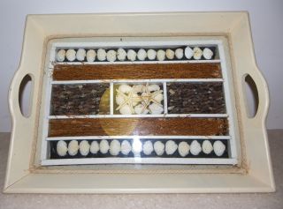 Vintage Sea Shell Shadow Box Style Serving Tray Or Wall Hanging Nautical Decor