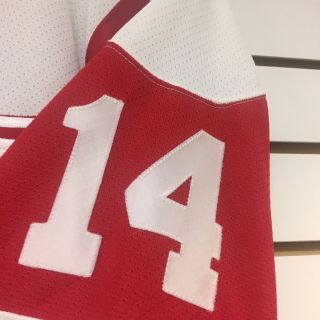 Vintage Detroit Red Wings Brendan Shanahan Hockey Jersey Size Large 3