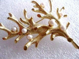 Trifari Tree Branch Brooch/pin Pearls Vintage Gold Tone